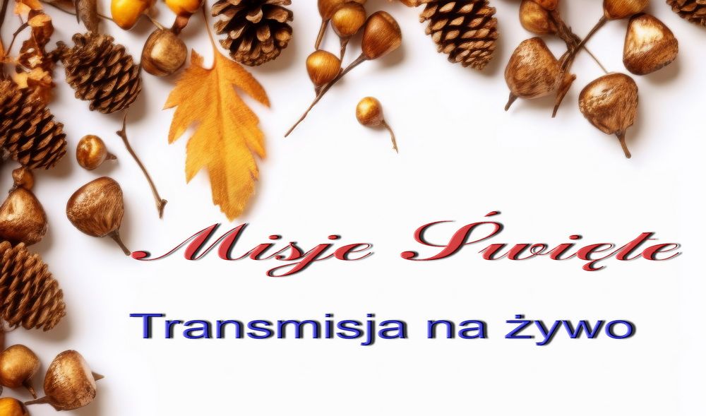 Transmisja na żywo z Misji Świętych
